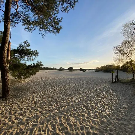 Chalet Dennenvelt Ferienhaus