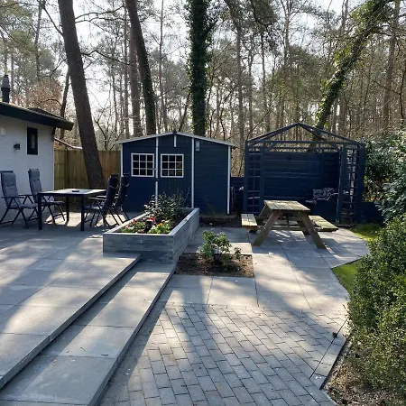 Chalet Dennenvelt Vakantiehuis Doornspijk