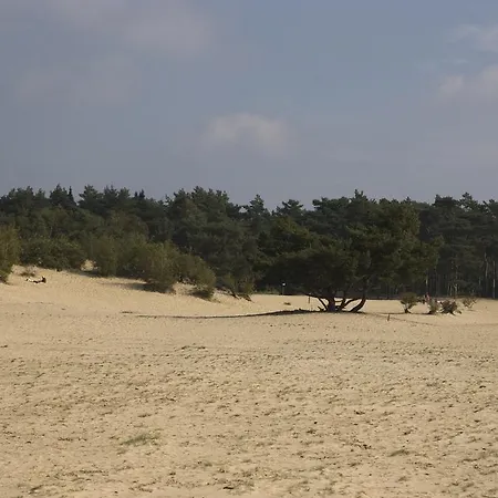 Chalet Dennenvelt Vakantiehuis *