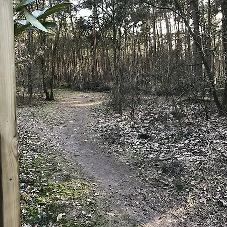 Chalet Dennenvelt Ferienhaus *