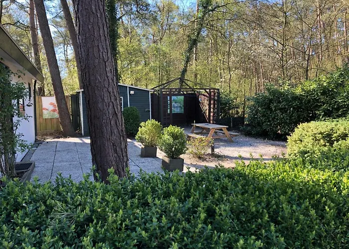 Chalet Dennenvelt * Doornspijk