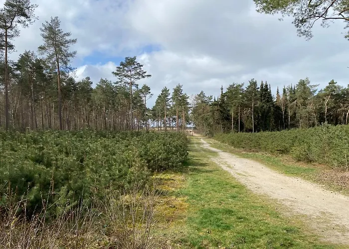 Chalet Dennenvelt Doornspijk
