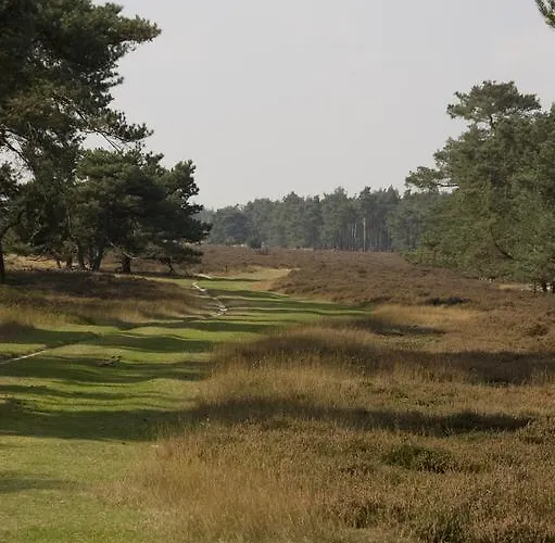 Dom wakacyjny Chalet Dennenvelt