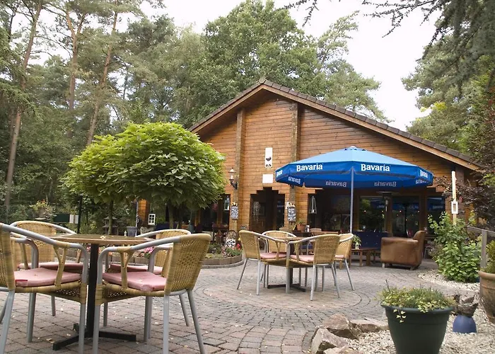 Chalet Dennenvelt Dom wakacyjny Doornspijk