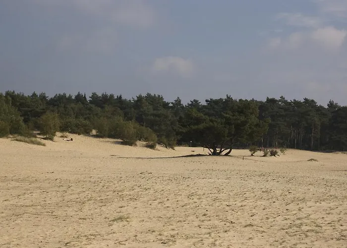 Chalet Dennenvelt Dom wakacyjny *