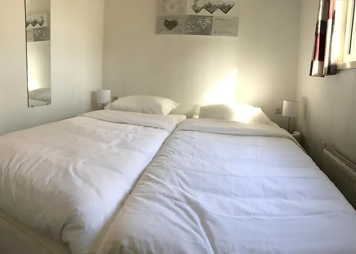 Dom wakacyjny Chalet Dennenvelt