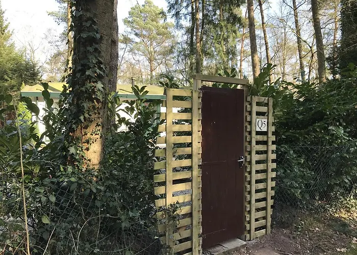 Dom wakacyjny Chalet Dennenvelt